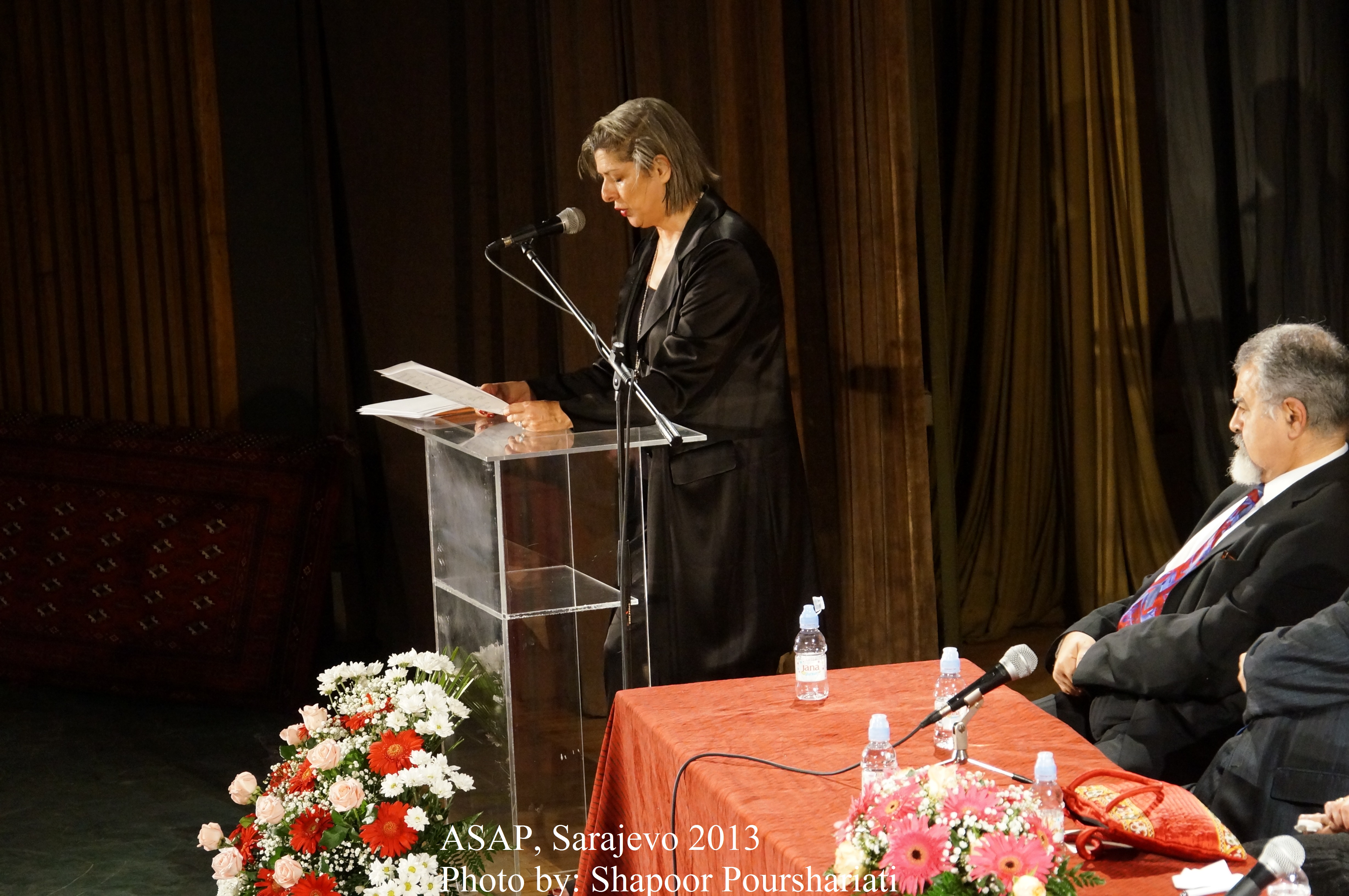 asps_2013_congress_sarajevo_bih_102_20131001_1141623858.jpg
